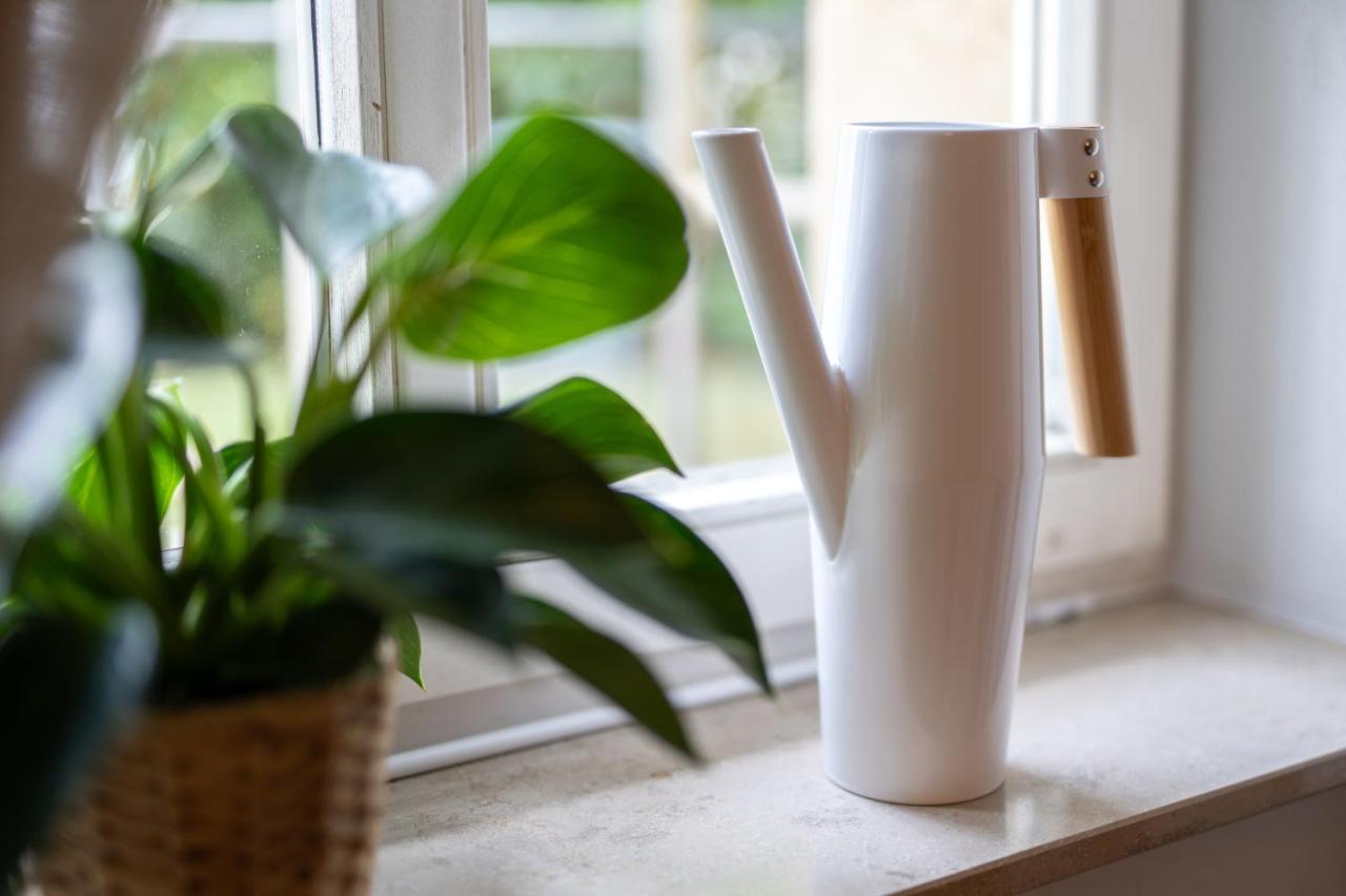Toni Charming Apartment Im Idyllischem Villenviertel Mit Netflix เดรสเดน ภายนอก รูปภาพ