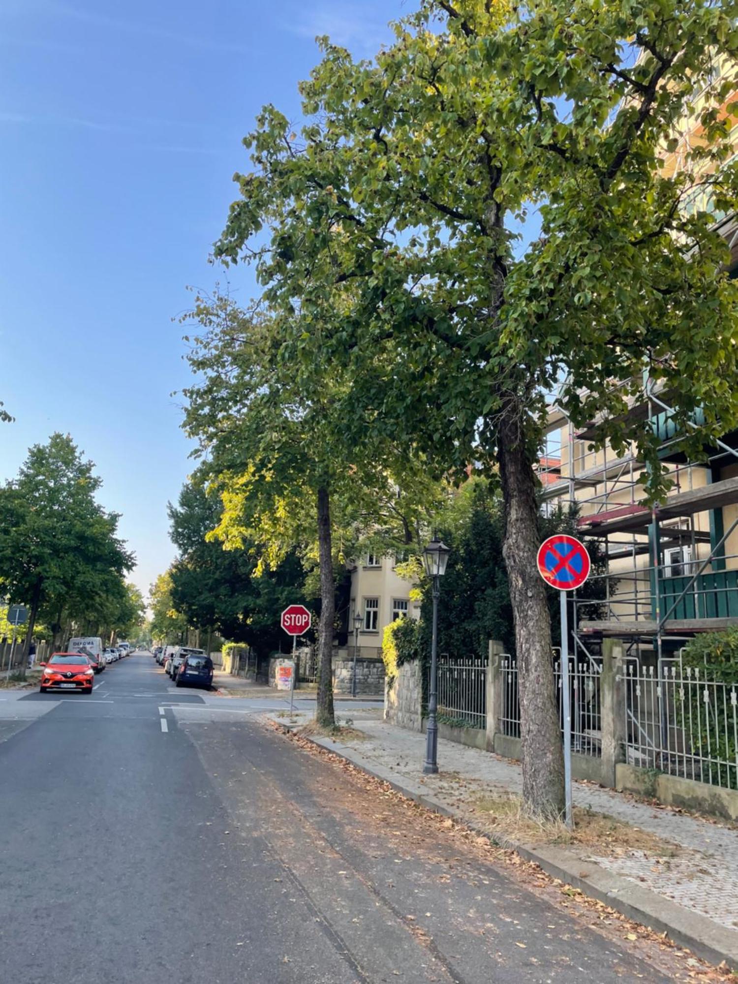 Toni Charming Apartment Im Idyllischem Villenviertel Mit Netflix เดรสเดน ภายนอก รูปภาพ